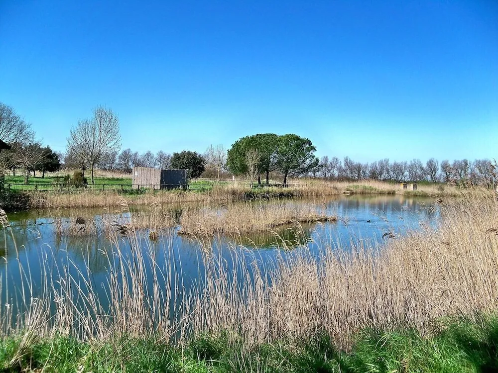 L'Oasi di Canneviè tra canneti e acqua